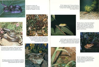 The ecology of a symbiotic community.