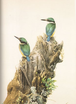 New Zealand birds: an artist's field studies.