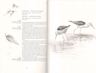 New Zealand birds: an artist's field studies.