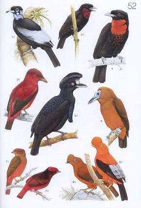The Birds of South America, volume two: The Suboscine Passerines: Ovenbirds, and woodcreepers, typical and ground antbirds, gnateaters and tapaculos, tyrant flycatchers, cotingas and manakins.