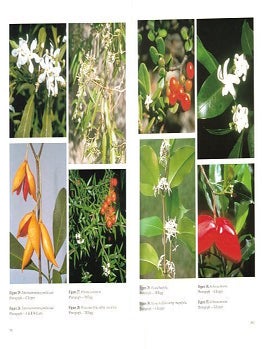 Flora of Australia, volume 28. Gentianales.