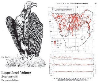 The atlas of southern African birds: including Botswana, Lesotho, Namibia, South Africa, Swaisiland and Zimbabwe.