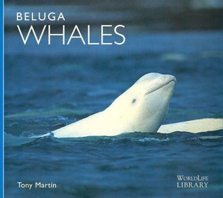 Stock ID 10387 Beluga Whales. A. Martin