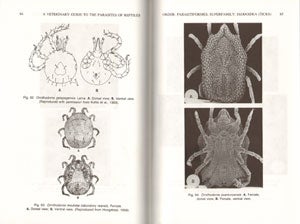 A veterinary guide to the parasites of reptiles, volume two: Arthropods (excluding mites).