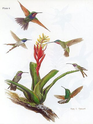Hummingbirds of North America.