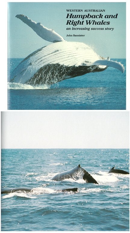 Stock ID 10579 Western Australian Humpback and Right Whales: an increasing success story. John Bannister.