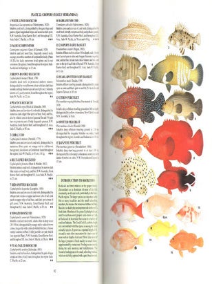 Marine fishes of tropical northern Australia and south-east Asia.