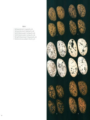 Handbook of Western Australian birds, Volume one: Non-passerines (Emu to Dollarbird).