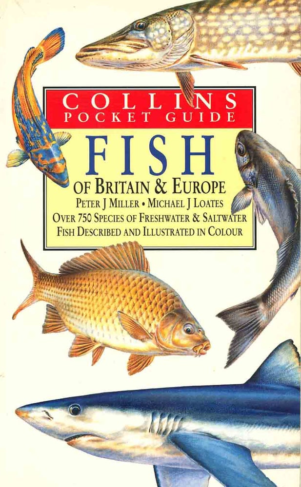 Stock ID 10616 Fish of Britain and Europe. Peter J. Miller, Michael J. Loates.