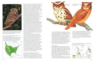 Owls of the world: their evolution, structure and ecology.