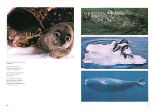 Mammals of the oceans.