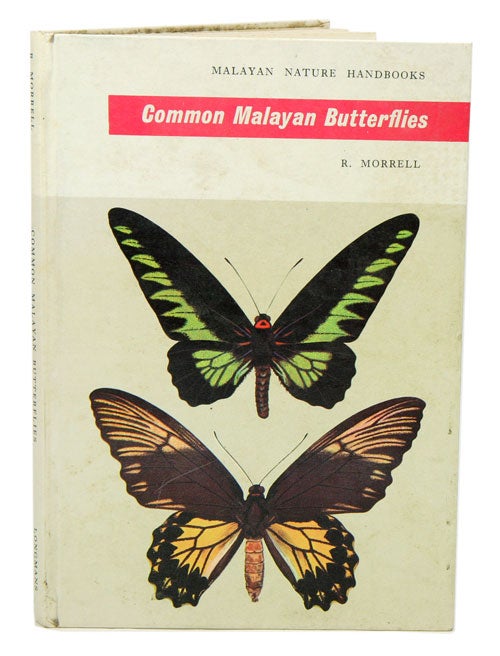Stock ID 10794 Common Malayan butterflies. R. Morrell.