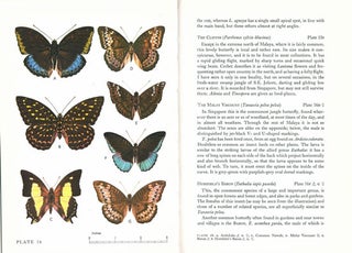 Common Malayan butterflies.