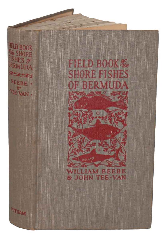 Stock ID 1090 Field book of the shore fishes of Bermuda and the West Indies. William Beebe, John Tee-Van.