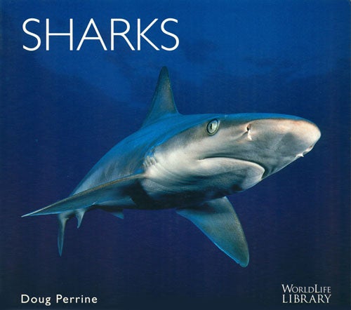 Stock ID 10944 Sharks. Doug Perrine.