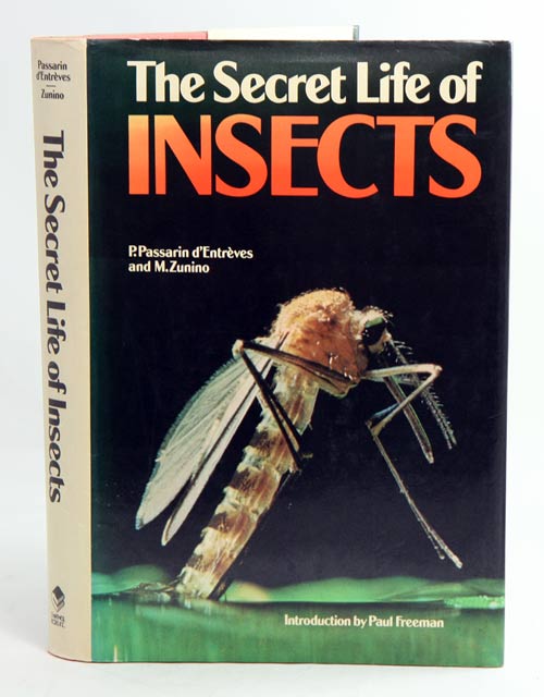 Stock ID 11114 The secret life of insects. P. Passarin d'Entrèves, M. Zunino.