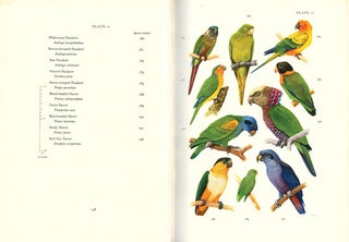 Stock ID 1112 Birds of Surinam. F. Haverschmidt