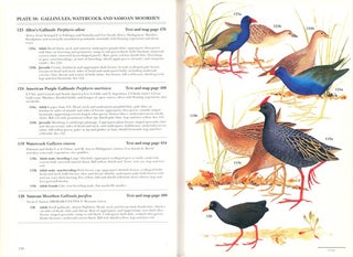 Rails: a guide to the rails, crakes, gallinules and coots of the world.