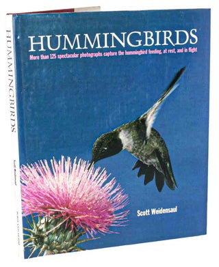 Stock ID 1137 Hummingbirds. Scott Weidensaul