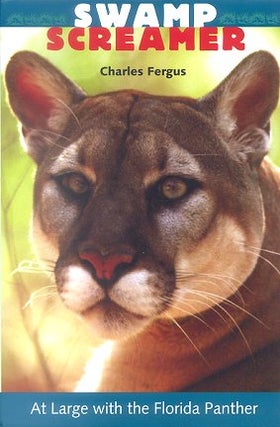 Stock ID 11373 Swamp screamer: at large with the Florida Panther. Charles Fergus