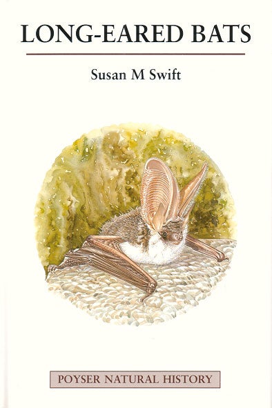 Stock ID 11382 Long-eared bats. Susan Swift.