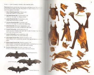 A field guide to the mammals of central America and southeast Mexico.
