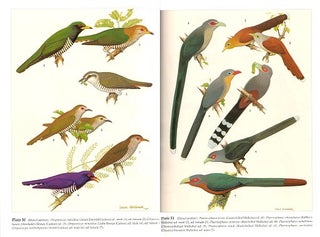 The birds of the Thai-Malay Peninsula: covering Burma and Thailand south of the eleventh parallel, Peninsular Malaysia and Singapore: Volume one: Non-passerines