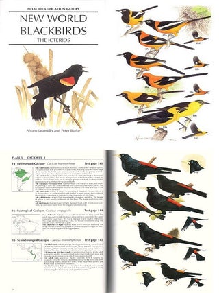 New World blackbirds: the Icterids.