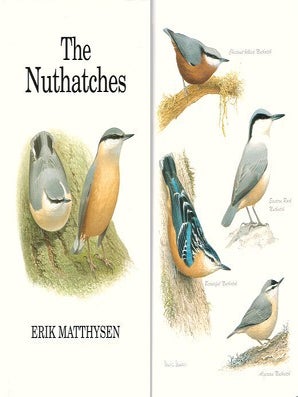 The nuthatches.