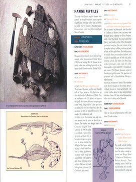 Dinosaurs of Australia and New Zealand and other animals of the Mesozoic era.