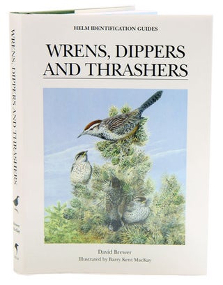 Wrens, dippers and thrashers. Dave Brewer.