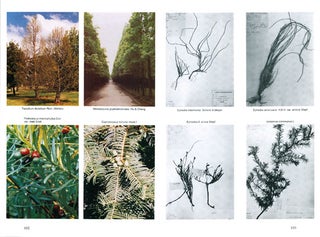 Flora of the Shanghai area: Volume 1: Pteridophyta, Volume two: Gymnospermae