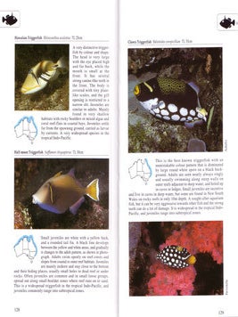 A photographic guide to sea fishes of Australia.