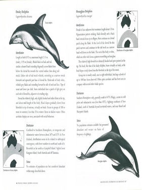 Dugongs, whales, dolphins and seals: a guide to the sea mammals of Australasia.
