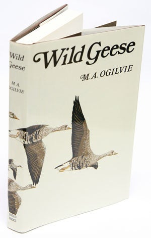 Stock ID 11851 Wild geese. M. A. Ogilvie.