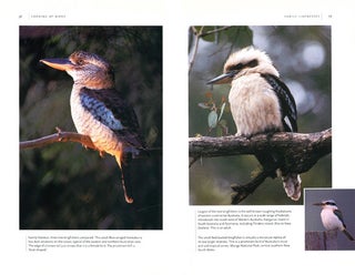Birdwatching in Australia and New Zealand.