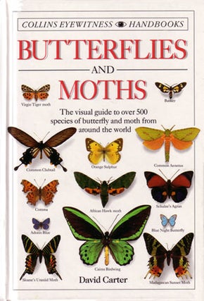 Stock ID 11921 Butterflies and moths. David Carter