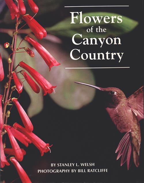 Stock ID 12026 Flowers of the Canyon country. Stanley Welsh.