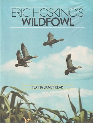 Stock ID 12179 Eric Hosking's wildfowl. Janet Kear