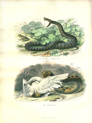 Histoire naturelle de Lacepede comprenant les cetaces, les quadrupedes ovipares, les serpents et les poissons. Nouvelle edition precedee de L'eloge de Lacepede par Cuvier avec des notes et la nouvelle classification de M. A.-G. Desmarest.