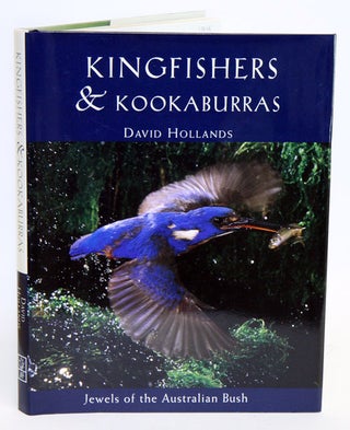 Stock ID 12646 Kingfishers and kookaburras: jewels of the Australian bush. David Hollands