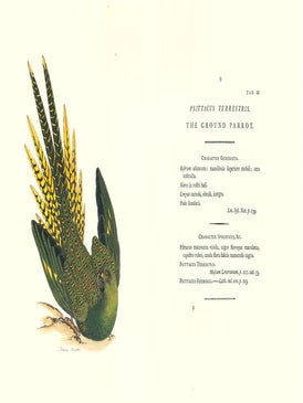 Zoology of New Holland.