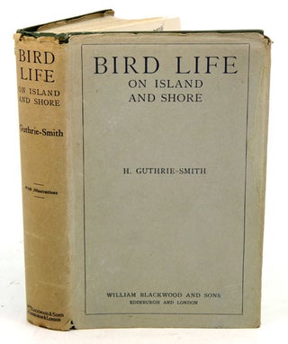 Stock ID 12796 Bird life on island and shore. H. Guthrie-Smith