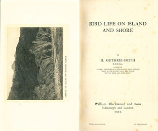 Bird life on island and shore.