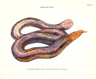 A colored atlas of some vertebrates from Ceylon, volume three: Serpentoid Reptilia.