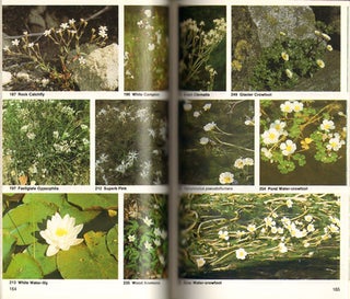 Collins photoguide to wild flowers of Britain and northern Europe.