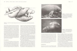 Biology of marine mammals.