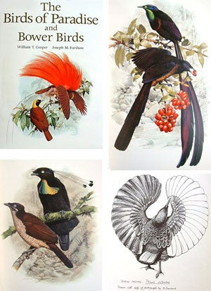 The birds of paradise and bower birds.