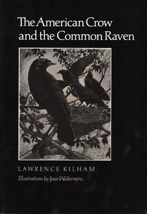 Stock ID 13166 The American crow and the common raven. Lawrence Kilham