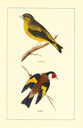 British birds: a selection from the original work, edited and with an introduction by Tony Soper.